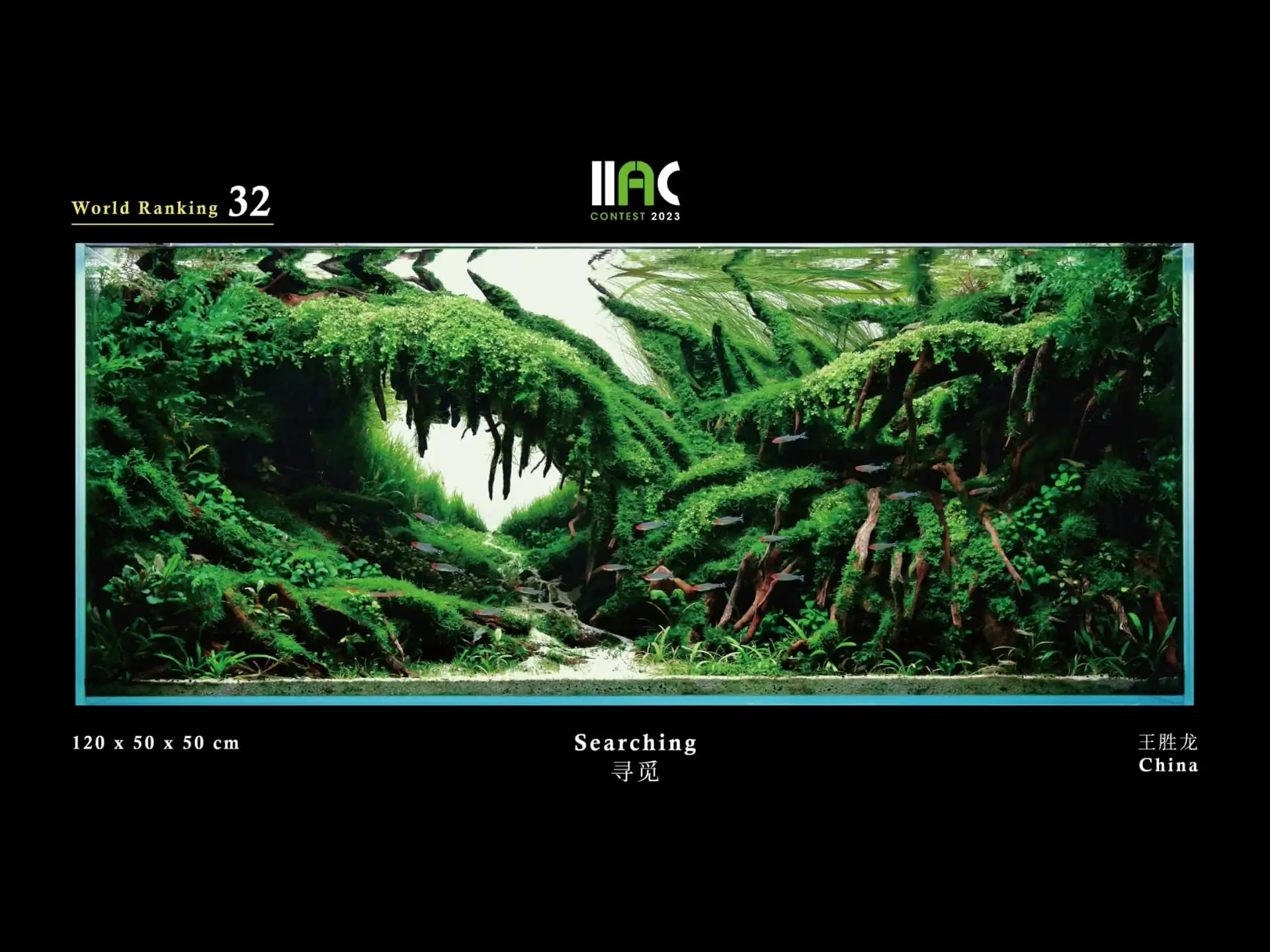 Searching - IIAC 2023 #32 Wang Shenglong / China